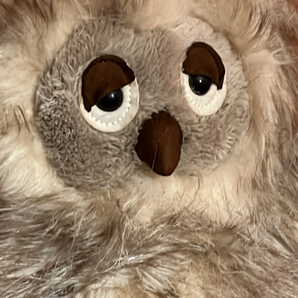 Vintage Jellycat โI am Ania Owl โ plush owl stuffed animal - Picture 2 of 13